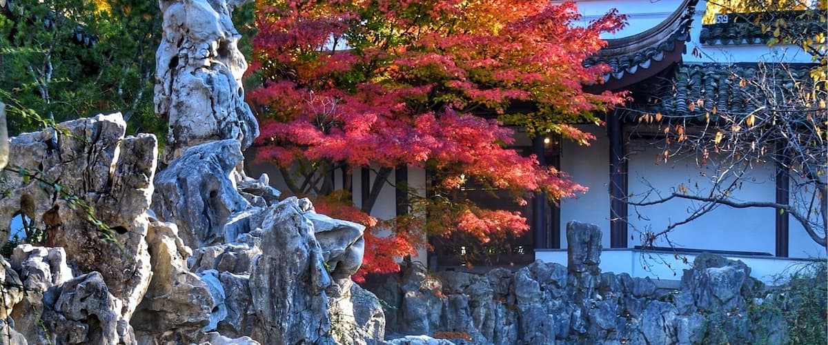 I was the first one to get in there at 10 am. Not too many people were there at that time but by noon there were joggers, families picnic all over the garden. Very calm and beautiful inside. #lovemytown #colorful #waterlust #nature #autumn #I❤️NY #fallcolors #fall🍁#NikonD7100 #Manfratto tripod