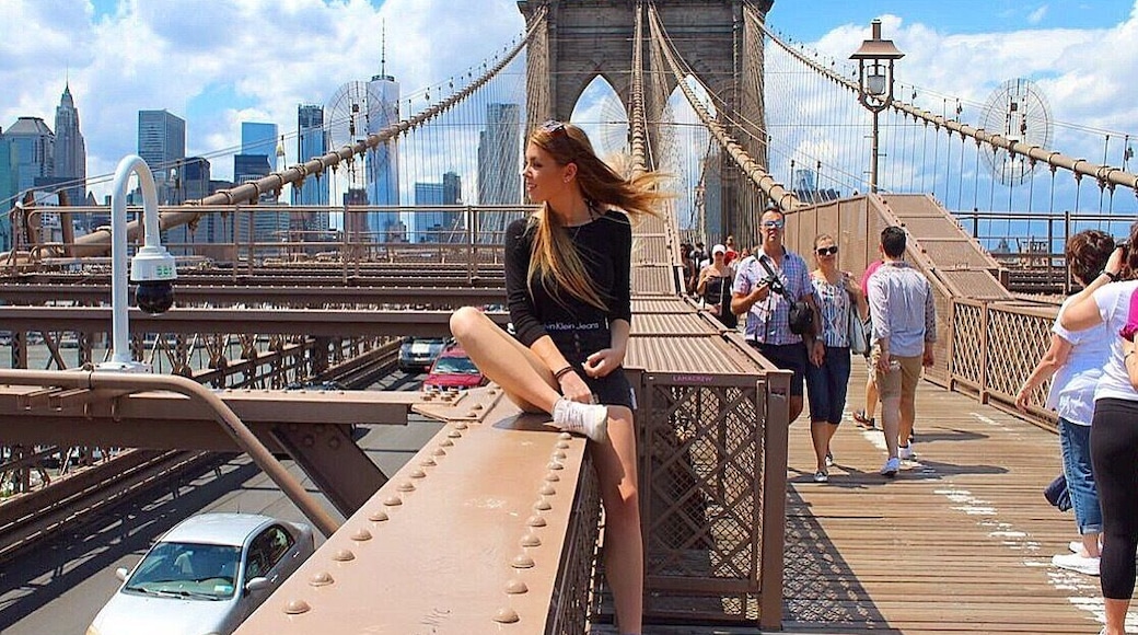 クラウン ハイツ