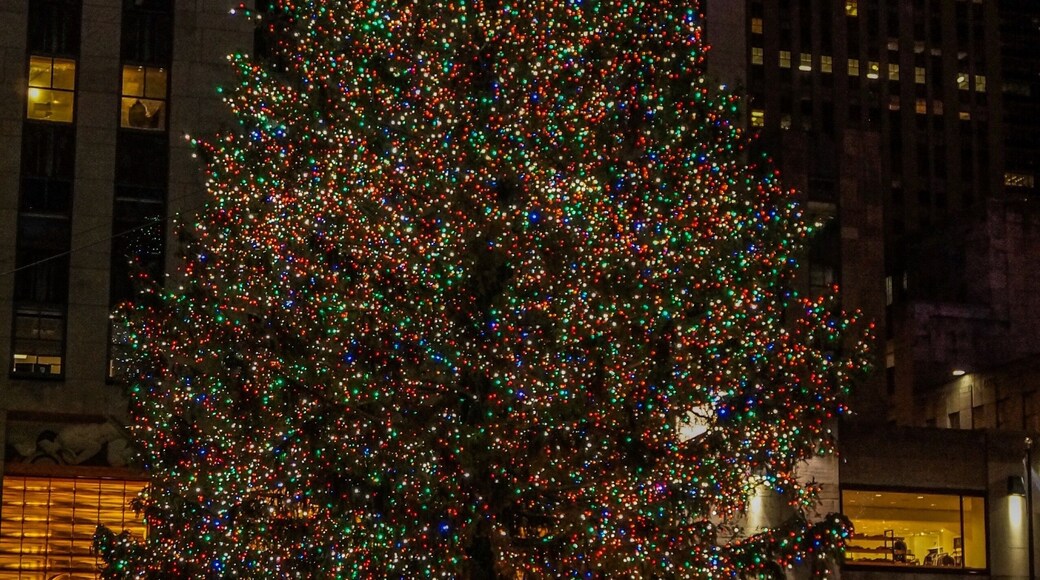 Great place to visit when you’re in New York in the Holliday season. Be aware: it can be very crowded.