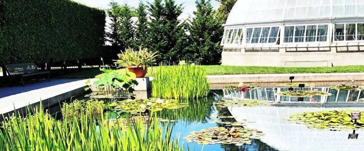 Lovely day at the gardens