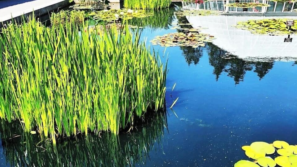 Lovely day at the gardens