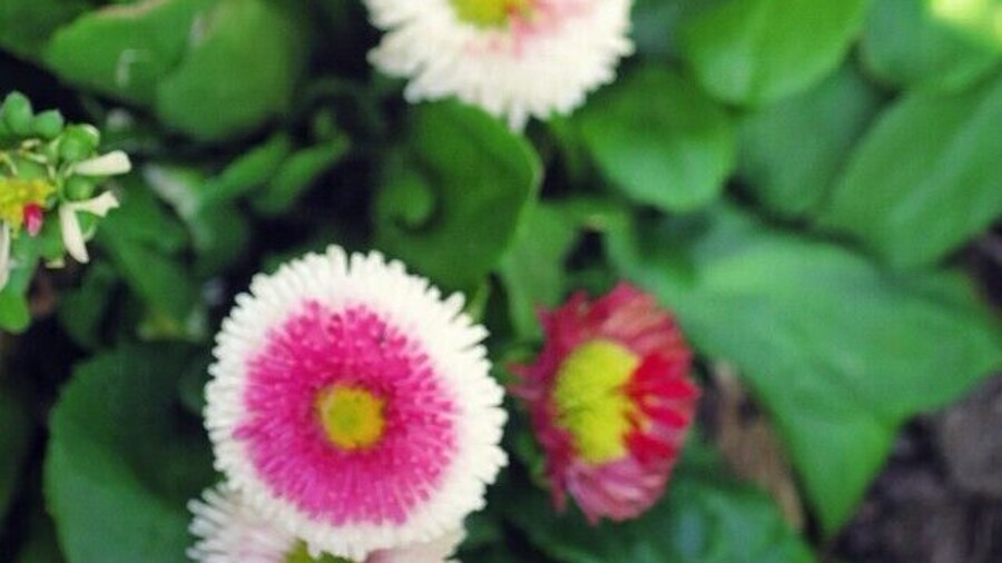 View from the winery grounds. Beautiful!