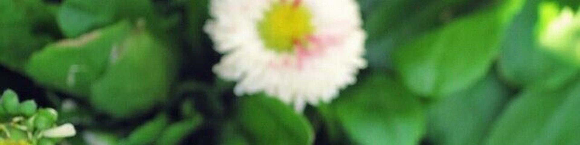 View from the winery grounds. Beautiful!