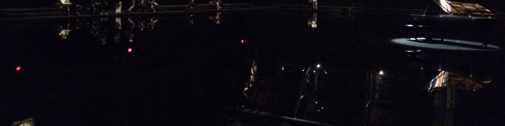 2014 art installation "tears become... streams become..." by artist Douglas Gordon and pianist Hélène Grimaud. The floor of the drill hall was covered by an enormous pool of water into which two pianos had been placed. There were performance on the pianos for the first few weeks; after that, it was purely an installation. Smartphone pic so not very good quality—really wish I'd brought my camera!