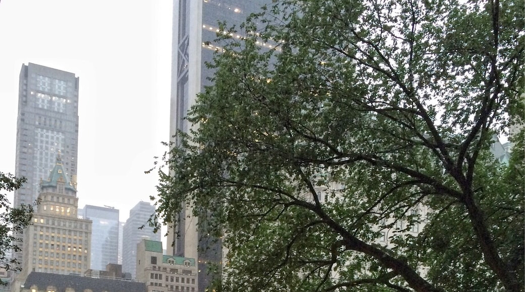Quintessential New York - Skyscrapers, yellow cabs and Central Park, as seen on a rainy morning outside the hotel.
#newyork #america
#bestof5