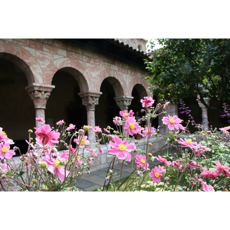 Great gardens at The Cloisters