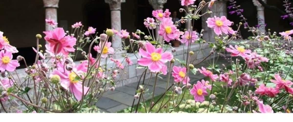 Great gardens at The Cloisters