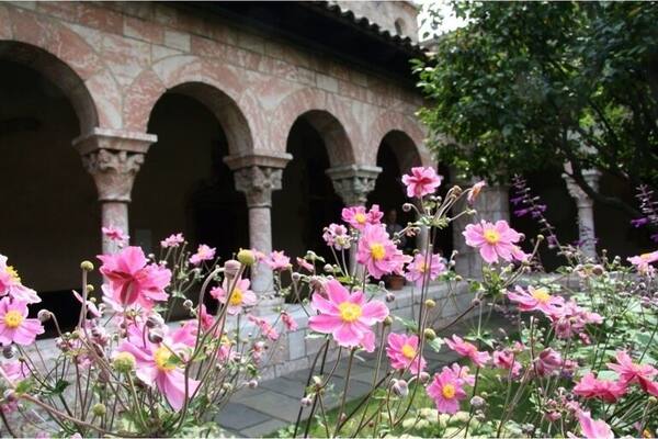 Great gardens at The Cloisters