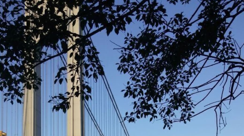 An early morning view of the Narrows. The stillness of both the water and the bridge is so powerful.