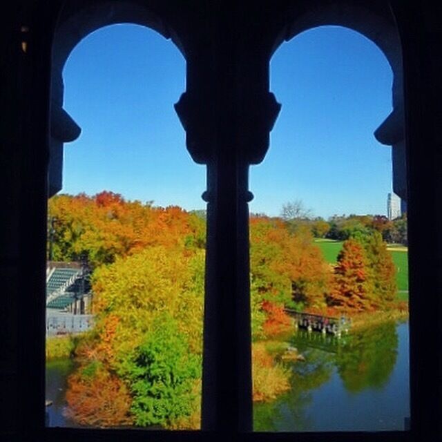 A view of fall foliage (and a corner of the Delacorte Theater) from Belvedere Castle in Central Park