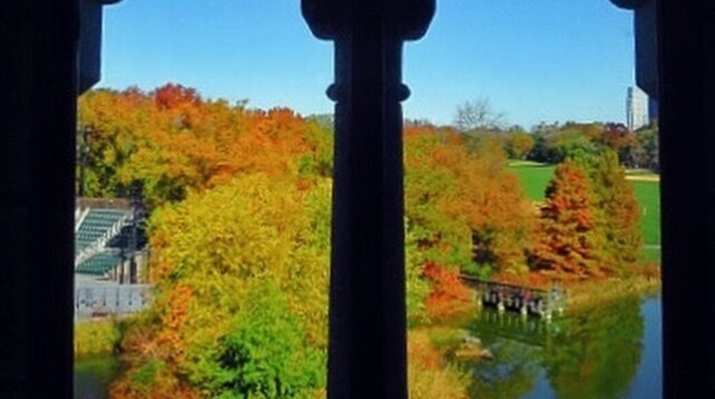 A view of fall foliage (and a corner of the Delacorte Theater) from Belvedere Castle in Central Park