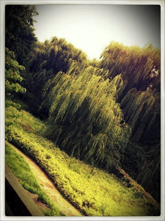 A bit of a hike from NYC but worth of trip, especially if you have time and want to get off the beaten path.
Take train to Staten Island Ferry then S40 bus to Gate D.
http://snug-harbor.org/visit/directions/