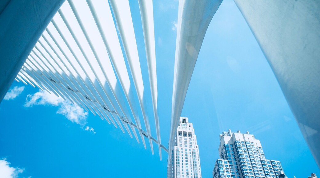 Commons Historic District