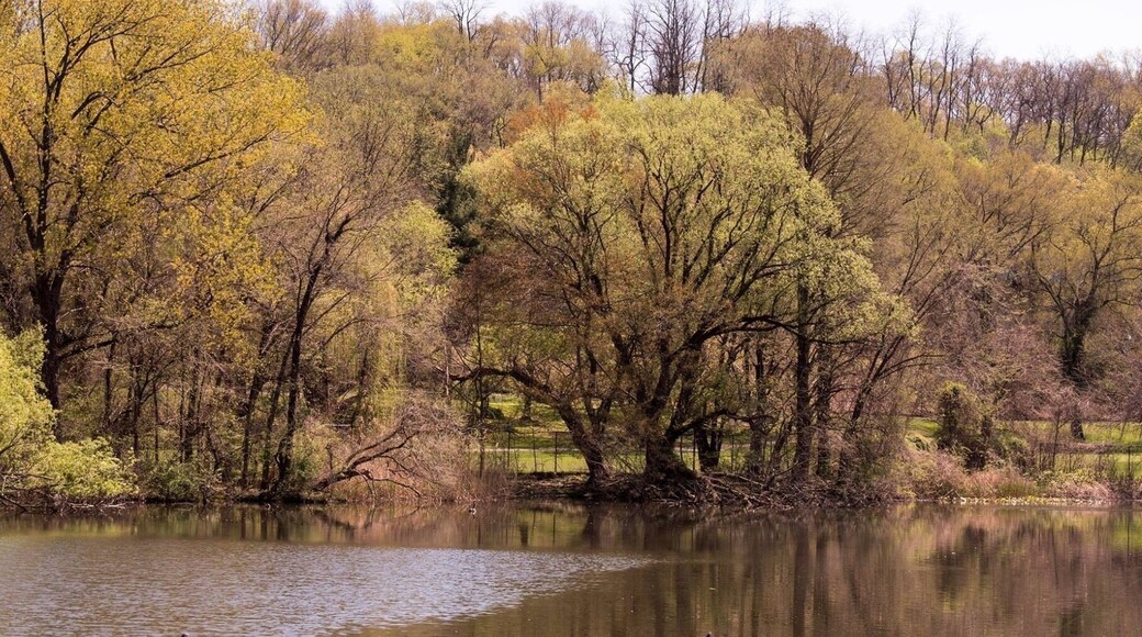 This is the Van Cortlandt Park in Bronx N.Y.