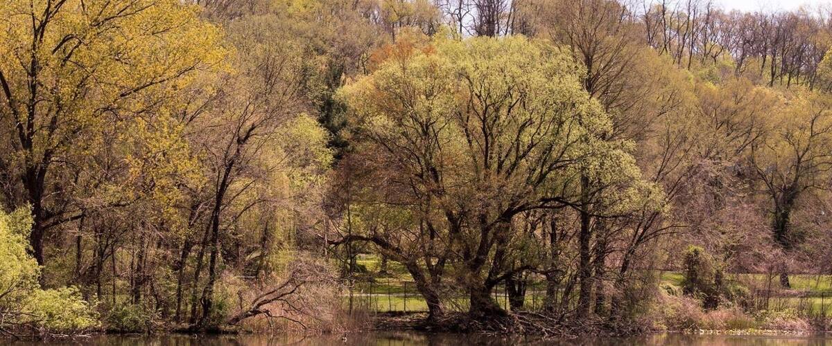 This is the Van Cortlandt Park in Bronx N.Y.