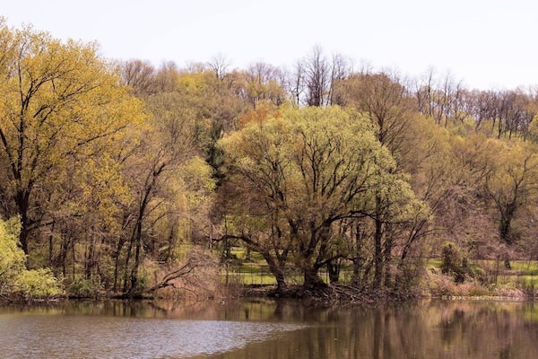 This is the Van Cortlandt Park in Bronx N.Y.