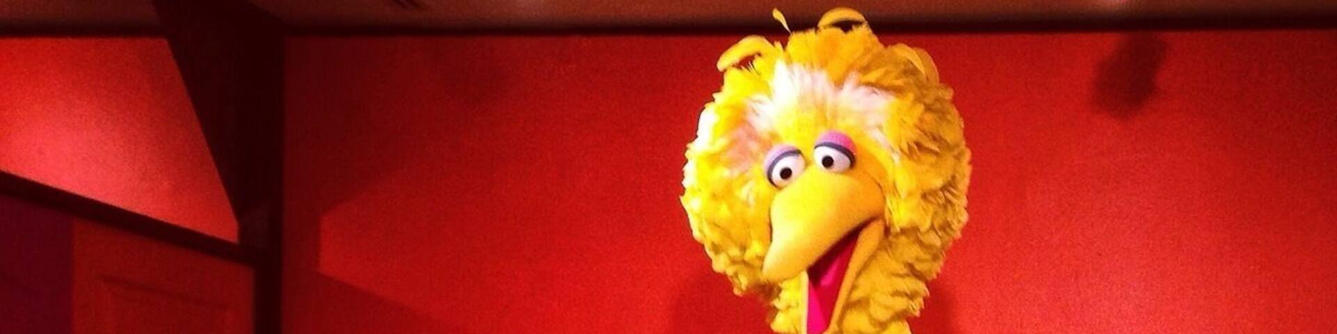 Big Bird standing tall in the Somebody Come and Play FREE exhibit