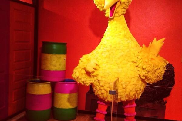 Big Bird standing tall in the Somebody Come and Play FREE exhibit