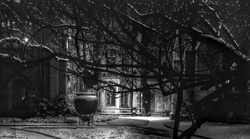 Snowy night in NYC. Going to a farewell party and passed by this church. Haunting and peaceful the same time. #snow #I❤️NY #blackandwhite #landmark #architecture #citylife #cityscapes #nightscapes #iphone6 #manfrottoKYLP. #shadowplay.