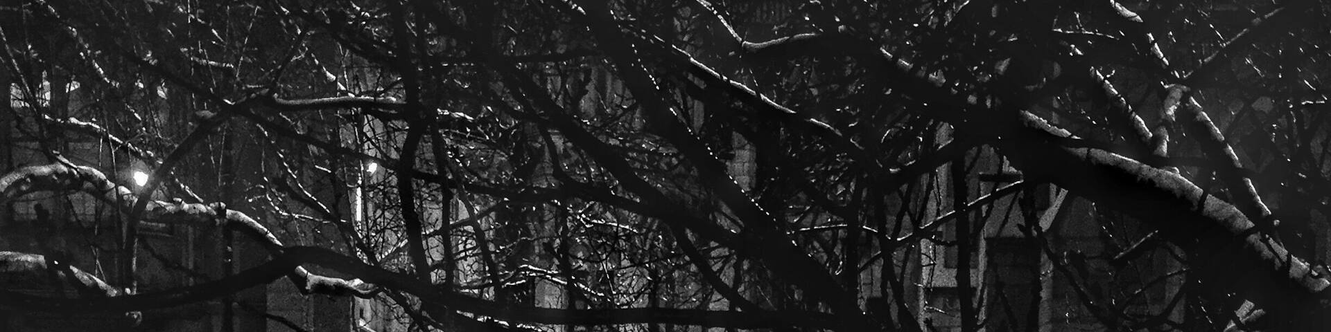 Snowy night in NYC. Going to a farewell party and passed by this church. Haunting and peaceful the same time. #snow #I❤️NY #blackandwhite #landmark #architecture #citylife #cityscapes #nightscapes #iphone6 #manfrottoKYLP. #shadowplay.