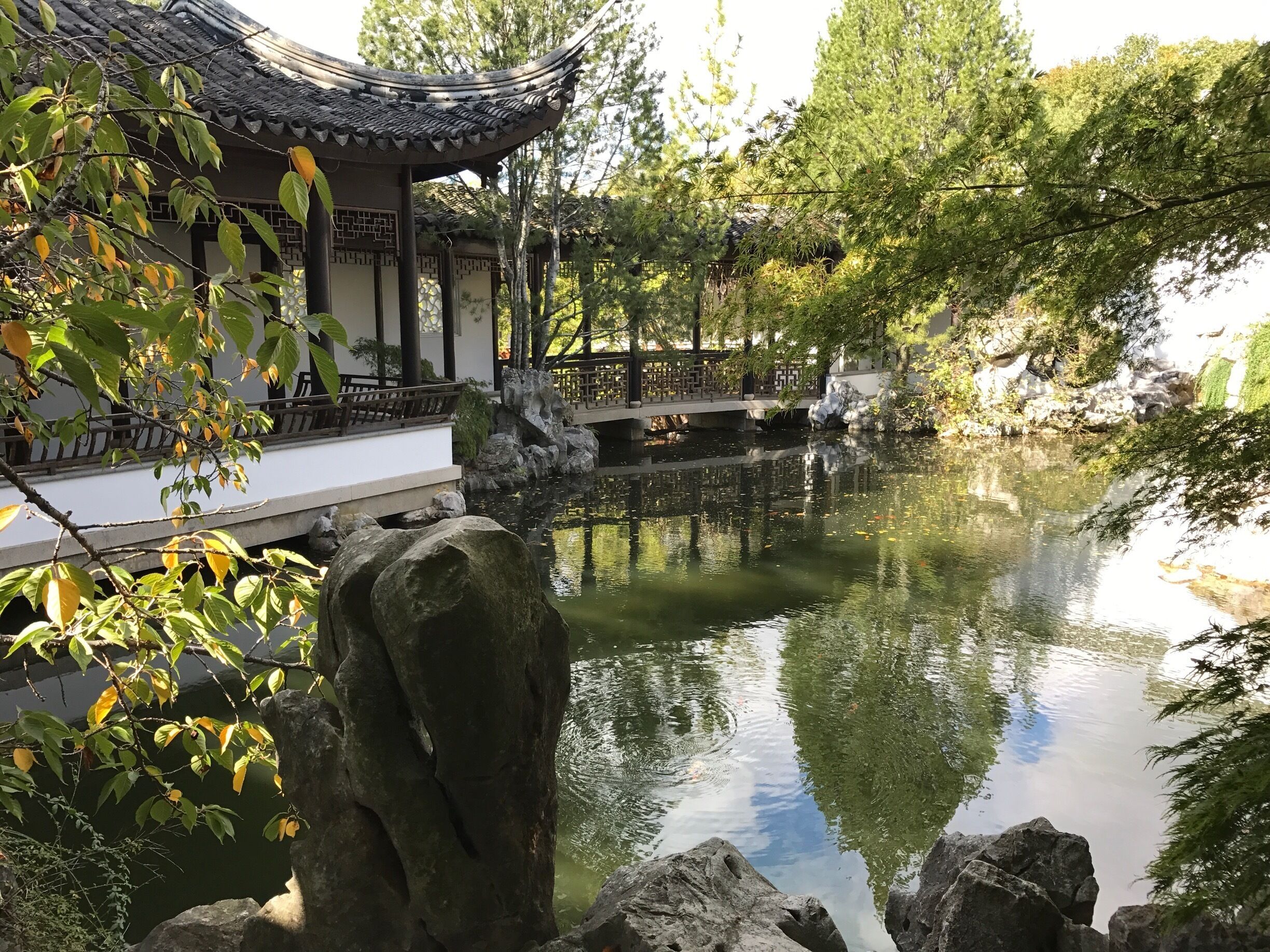 Chinese Scholar's garden - Staten Island