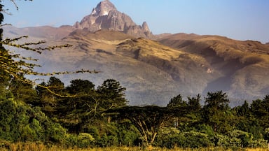 Dramatic view of Mount Keynya with the mist rising from forest below in Nyeri County, near Nanyuki; Kenya, Africa