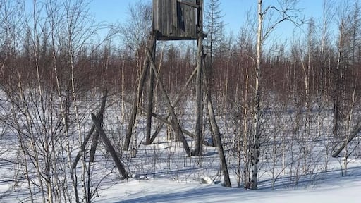 Watchtower and barbed wire at a gulag concentration camp on Yamal. Nearby 30 wooden houses where prisoners lived are still standing too.