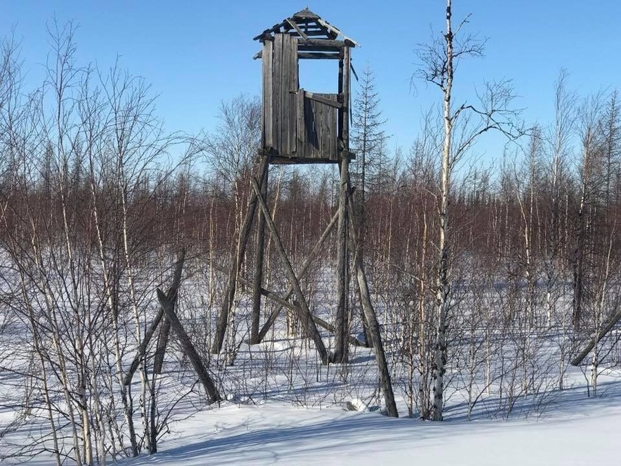 Watchtower and barbed wire at a gulag concentration camp on Yamal. Nearby 30 wooden houses where prisoners lived are still standing too.