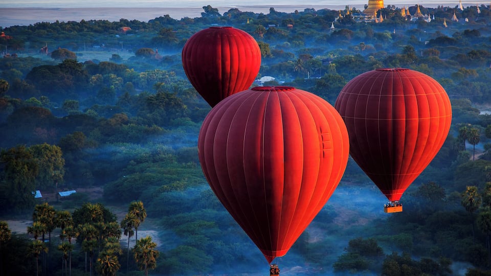 Three red hot air balloons flying over a landscape with palm trees and a golden temple in the background.