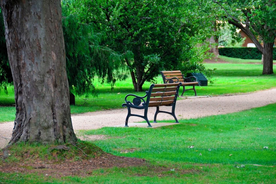 A park with a dirt path, two wooden benches, and a large tree.