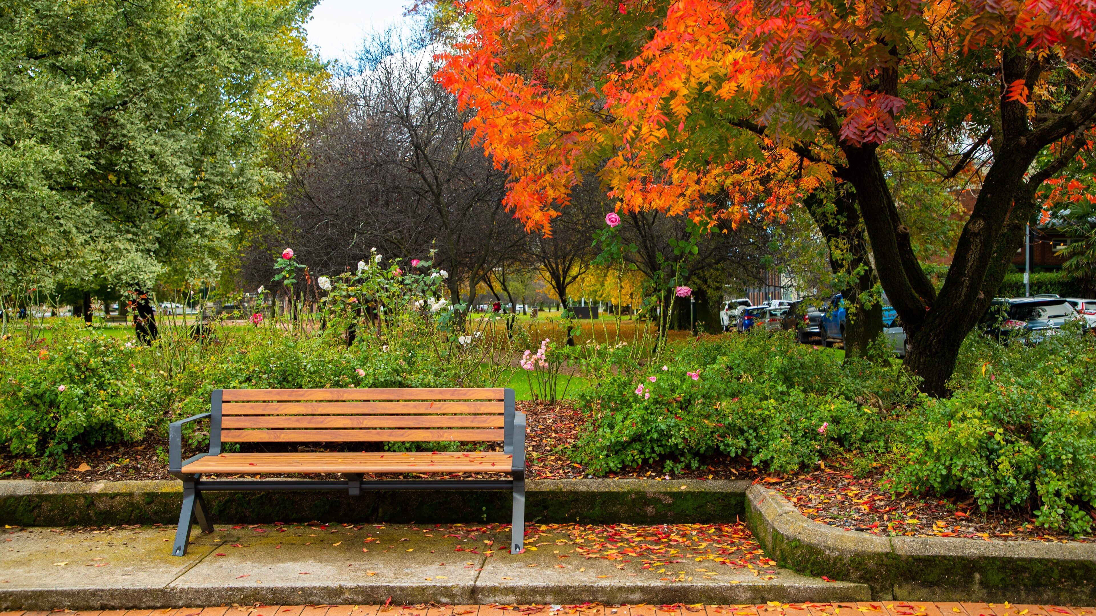 Orange showing wildflowers, a garden and fall colors