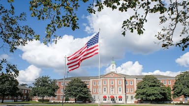 a flag in front of the headquarters of the marine expeditionary force during the Amphibious Bold Alligator Exercise organized by the US Navy and the Marine Corps