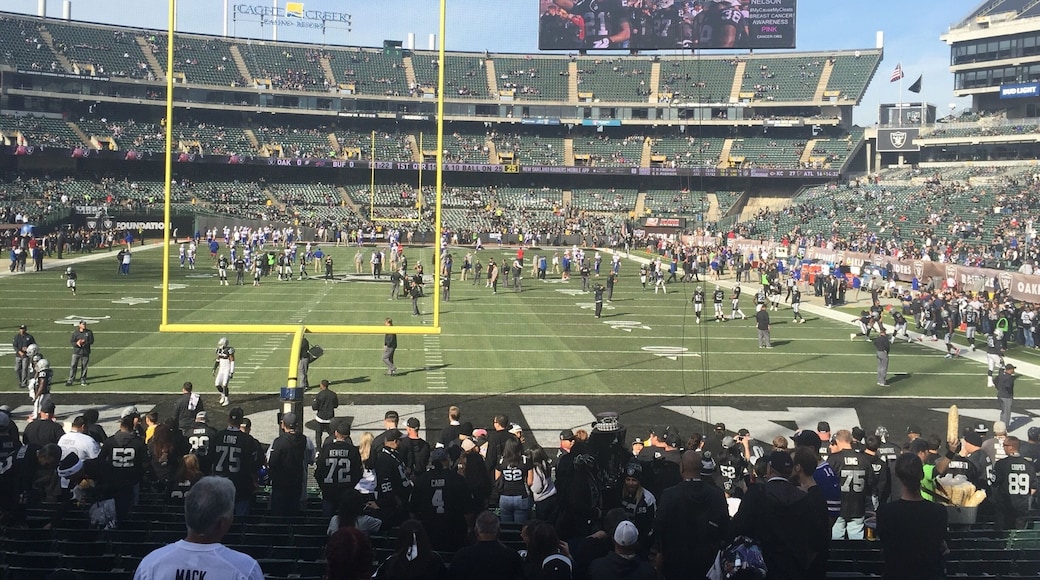 View from the Black Hole! Raiders were
10 -2 on the date this photo was taken.