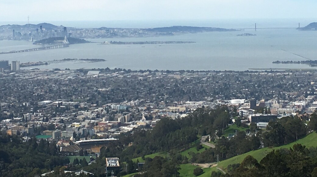 #OrbitzTravel .... looking down at Iakland/Berkeley and SAN Francisco from the Berkeley hills