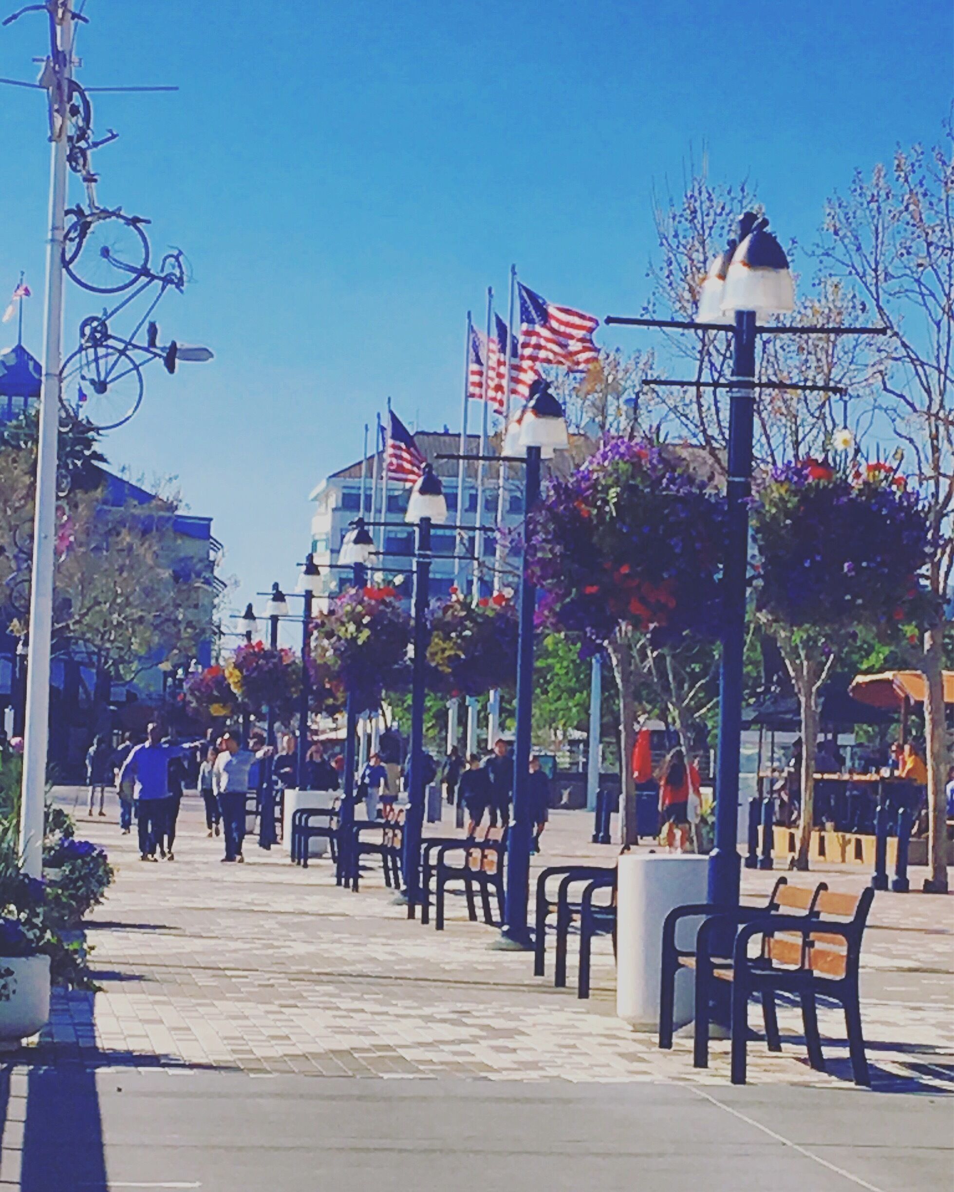 🇺🇸🇺🇸🇺🇸