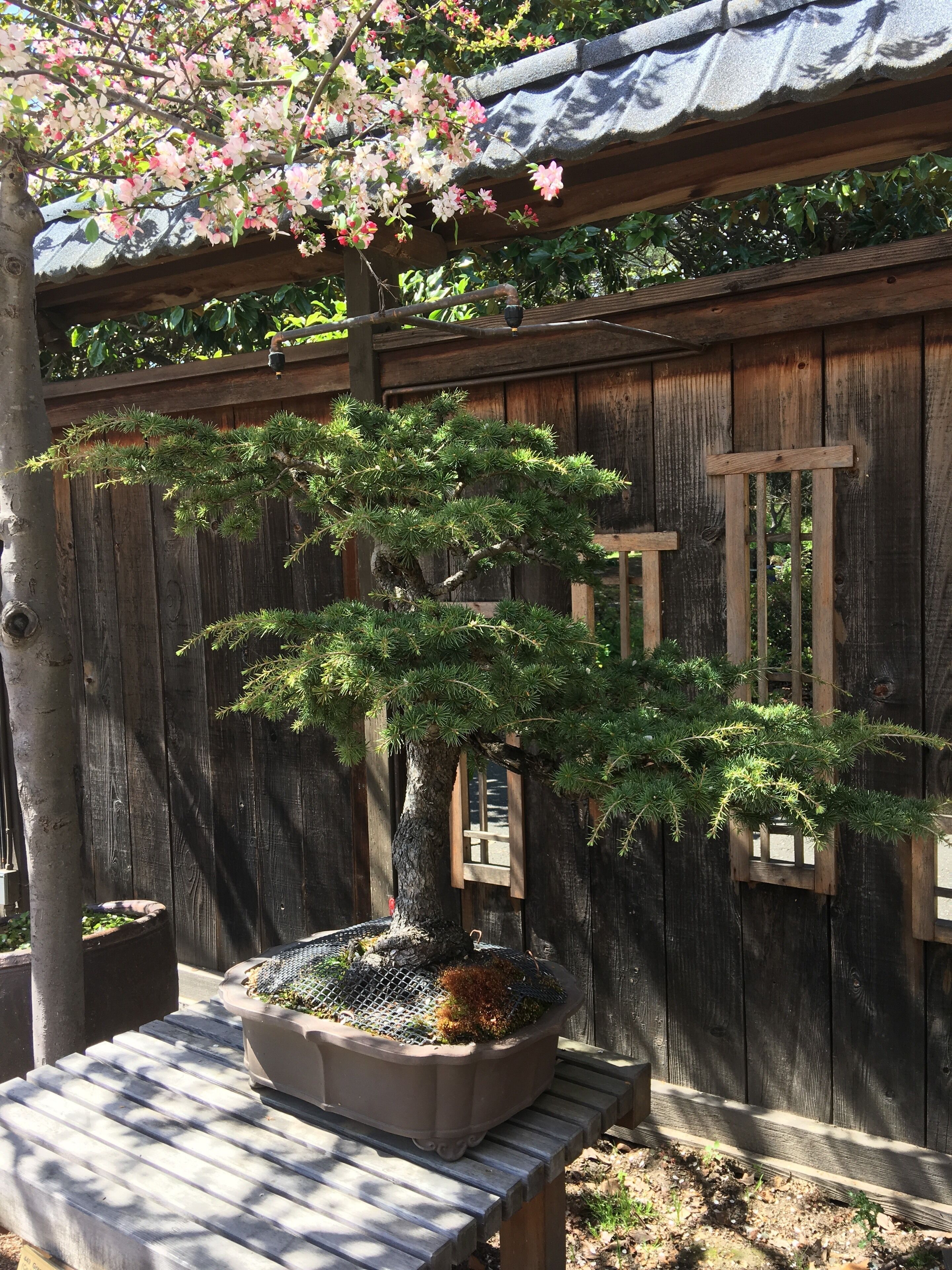 One of many beautiful distractions at Merritt Lake.