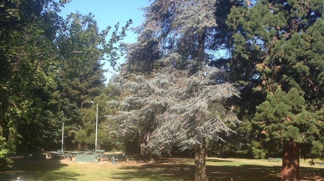 I LOVE SUMMER! So do thes little people on their first day of camp! Such a pretty park, gorgeous trees, lots of activities and a great pool!
