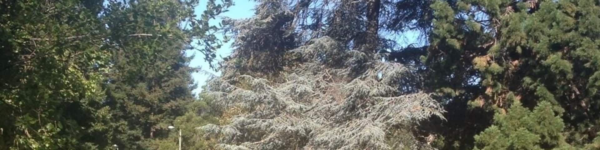 I LOVE SUMMER! So do thes little people on their first day of camp! Such a pretty park, gorgeous trees, lots of activities and a great pool!