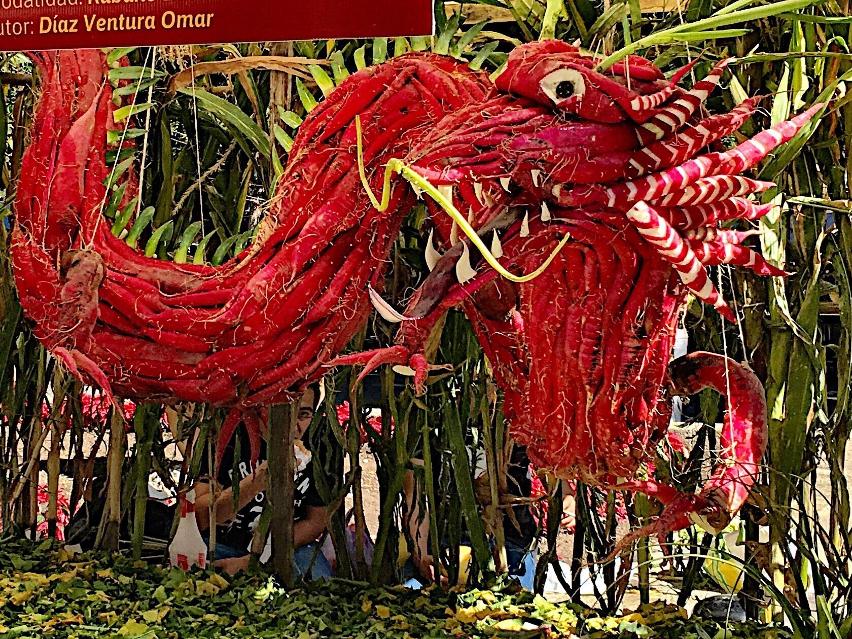 Noche de Rabanos - an annual festival in Oaxaca with giant sculptures made of radishes. Every December 23. 