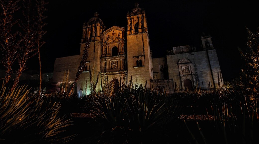 Probably the most recognizable sight from Oaxaca is the Church of Santo Domingo. All day and evening it's a bustling spot where locals and visitors congregate.
With a daily market nearby, many restaurants and bars, and great food carts after sunset you'll be able to enjoy spending some time here without even exploring the building itself... That alone is worth another post.
#Mexico #Oaxaca