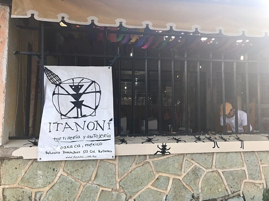 This is by far the best meal I had in Oaxaca. I loved it so much I ate here twice and I was only here for four days! Come for breakfast or brunch and be sure to try the teleras. All of the tortillas are made by hand with unique varieties of corn and the fillings are all fresh and packed with flavor. Their hot chocolate is pretty spectacular, too! #troveon