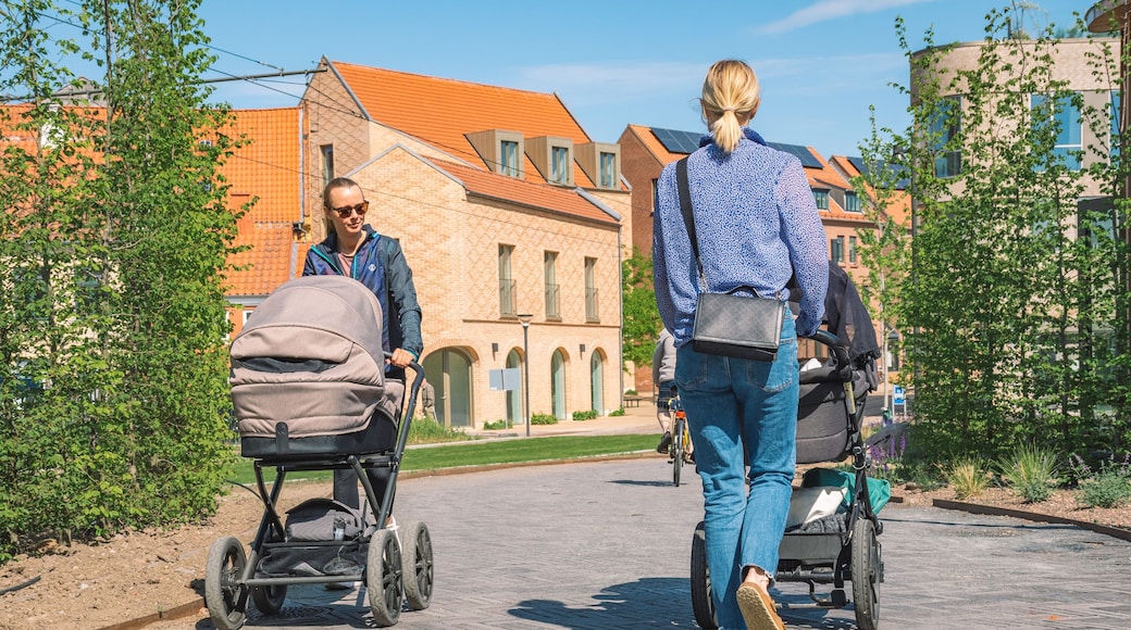 Beautiful young blonde hair girls with stroller walking on a new bike path or road between modern buildings in the center of Odense, Denmark