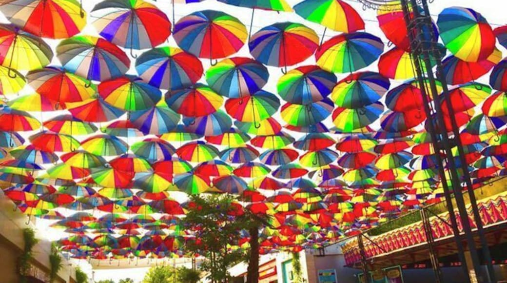 Arcadia in the summer.