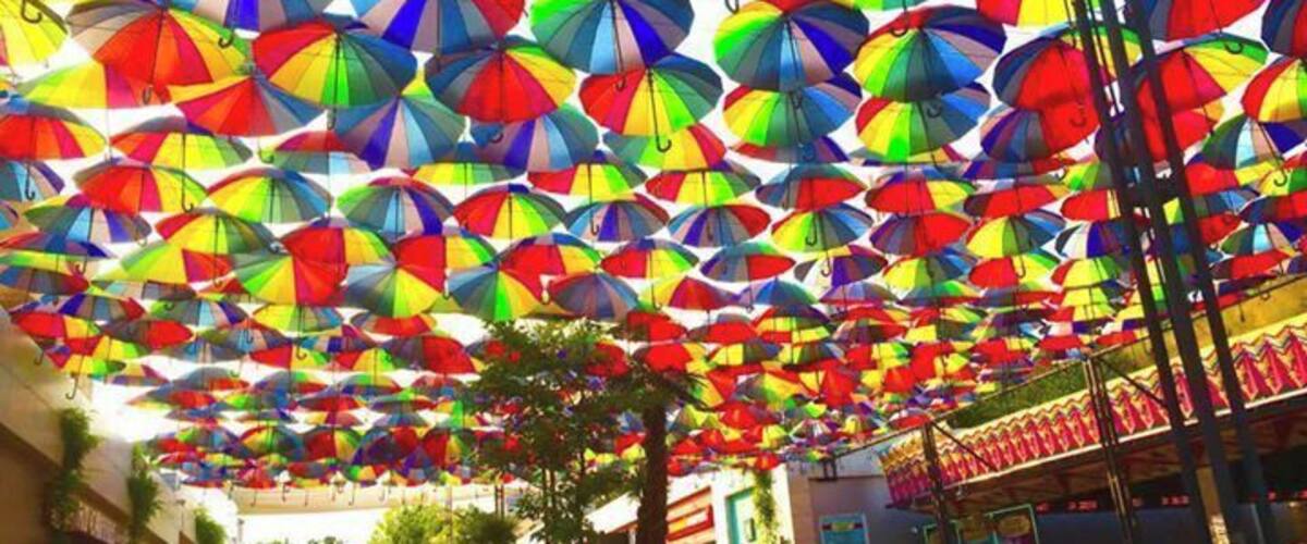 Arcadia in the summer.