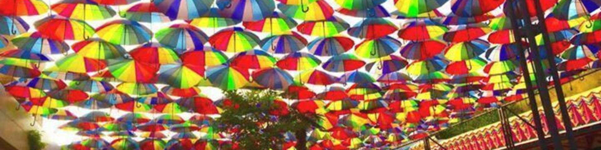 Arcadia in the summer.