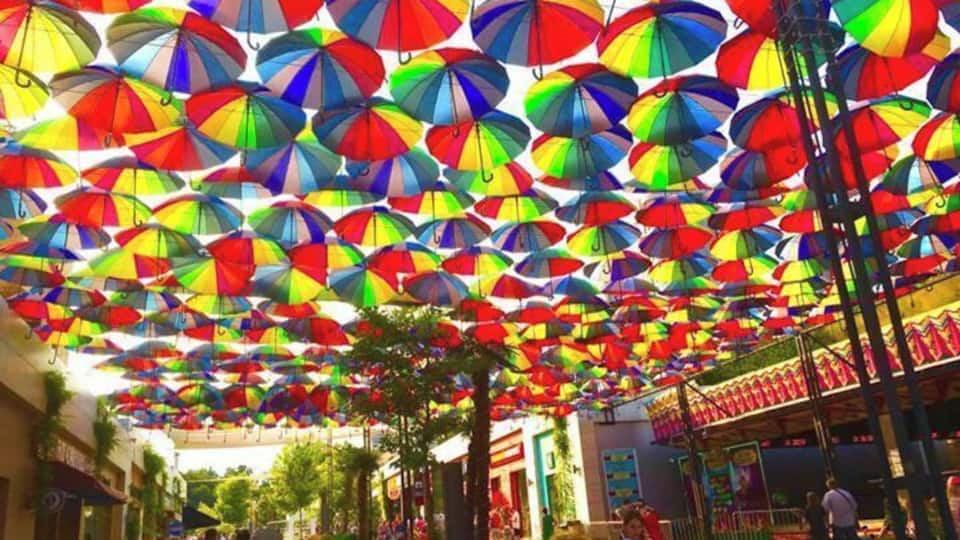 Arcadia in the summer.