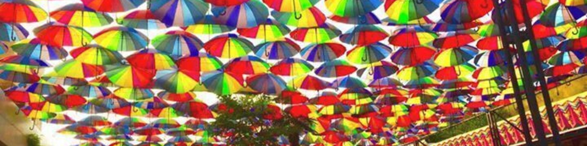 Arcadia in the summer.