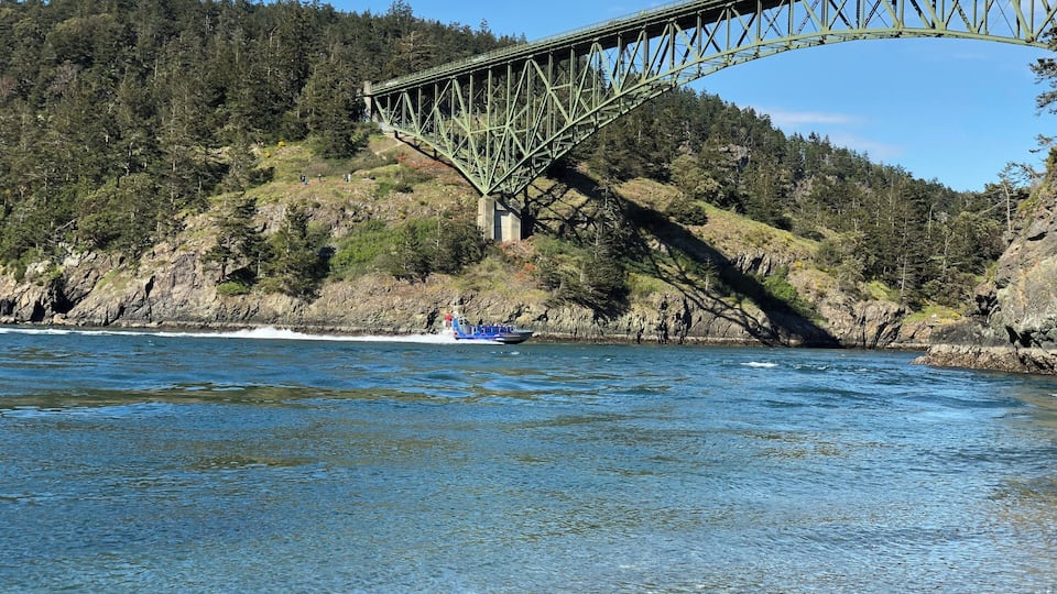 A green metal bridge spanning a river, surrounded by forested hills.
