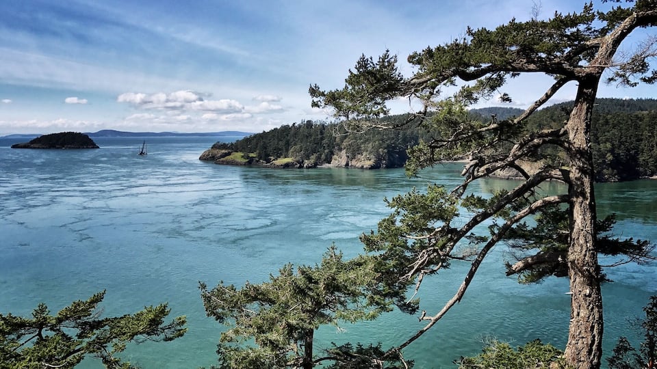 A coastal landscape with clear turquoise waters, a small island, and dense forested hills in the background.