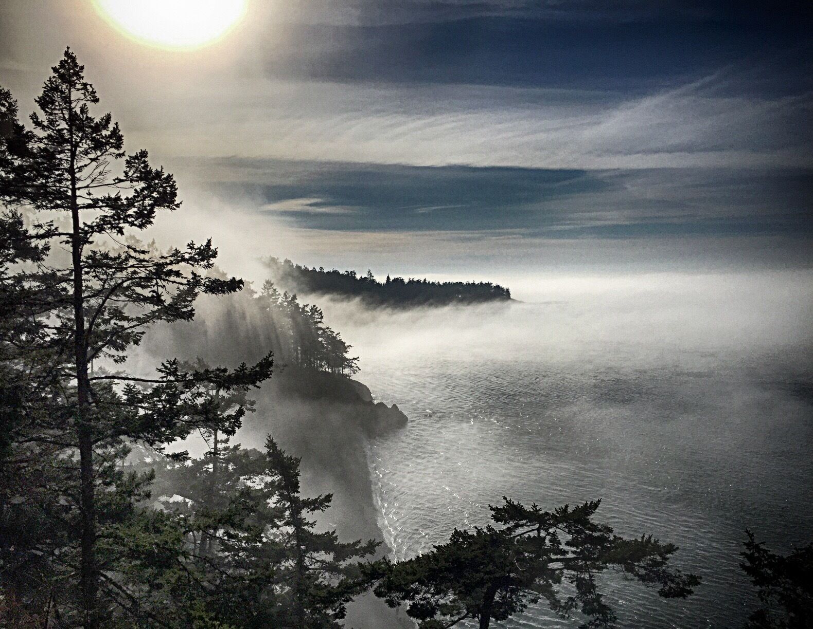 Taken from a trail near Deception Pass Bridge on a foggy but sunny day (obviously ;)